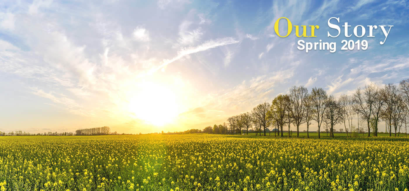 Our Story - Spring 2019