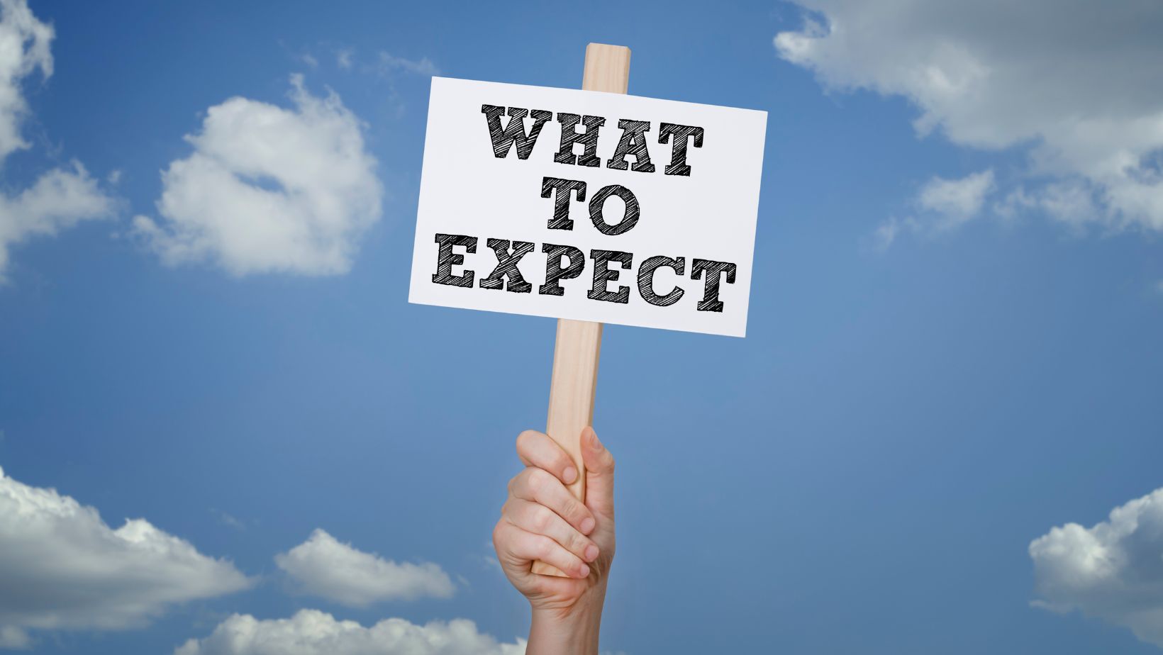 What do you get in return for timeshare maintenance fees?